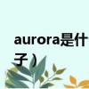 aurora是什么牌子的饰品（aurora是什么牌子）