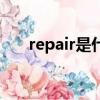 repair是什么意思（pair是什么意思）