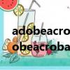 adobeacrobatreader中文版怎么安装（adobeacrobatreader）