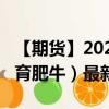 【期货】2024年08月29日代码（GF）名称（育肥牛）最新实时数据