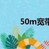 50m宽带网速是多少（50m宽带）