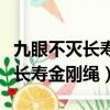 九眼不灭长寿金刚绳编法视频教程（九眼不灭长寿金刚绳）