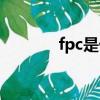 fpc是什么游戏（fpc是什么）