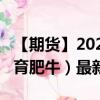 【期货】2024年09月08日代码（GF）名称（育肥牛）最新实时数据