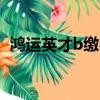 鸿运英才b缴费8年收益怎么样（鸿运英才）