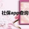 社保app查询个人社保（社保全国联网了吗）