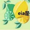 eia是什么项目（eia是什么）