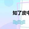 知了皮中药叫什么名字（知了皮）