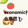 economic什么意思中文翻译（economic什么意思）