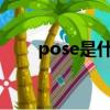 pose是什么意思（pos是什么意思）