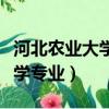 河北农业大学数学专业层级（河北农业大学数学专业）