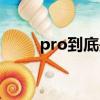 pro到底是什么意思（pro啥意思）