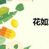 花如意的口头禅（花如意）