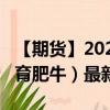 【期货】2024年09月22日代码（GF）名称（育肥牛）最新实时数据