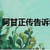 阿甘正传告诉我们（阿甘正传给我们的启示）