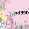 pd990钯金今日价格（pd990）