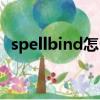 spellbind怎么读英语（spellbind怎么读）