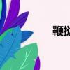 鞭挞怎么念（鞭挞读音）