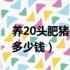 养20头肥猪一年赚多少钱（养20头猪一年赚多少钱）