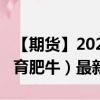 【期货】2024年09月27日代码（GF）名称（育肥牛）最新实时数据