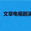 文章电视剧演员表（文章全集40集电视剧）