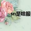 sn是啥服务（sn服务是什么意思啊）