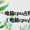 电脑cpu占用100%是显卡问题还是主板过小（电脑cpu占用100）