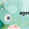 agency代理人（agency）