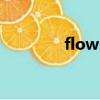 flows是什么意思（flows）