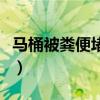 马桶被粪便堵了咋疏通（家里马桶堵了怎么办）