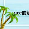 rice的复数加什么（rice的复数）