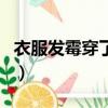 衣服发霉穿了会得病吗（牙膏可以洗掉霉斑吗）