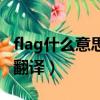 flag什么意思英语翻译（flag是什么意思中文翻译）