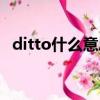 ditto什么意思中文翻译（ditto什么意思）