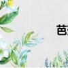 芭蕉头图片（芭蕉头）