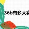 36b有多大实物图形（36b有多大实物图）