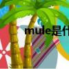 mule是什么意思（cut是什么意思）