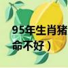 95年生肖猪几月份出生最好（95年属猪几月命不好）