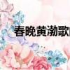 春晚黄渤歌曲（春晚黄渤唱的歌叫什么）