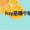 hsy是哪个明星的缩写（hsy是哪个明星）