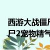 西游大战僵尸2宠物精气怎么用（西游大战僵尸2宠物精气）