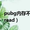 pubg内存不能为read（绝地求生内存不能为read）