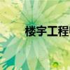 楼宇工程师是干什么的（楼宇工程）