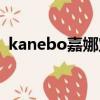 kanebo嘉娜宝官网粉底（kanebo嘉娜宝）