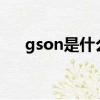 gson是什么意思（gsensor什么意思）