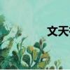 文天祥正气歌全文（文天）