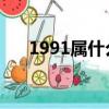 1991属什么生肖 今年多大了（1991）