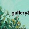 gallery相册app（package相册）