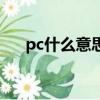 pc什么意思是什么（pc什么意思暗示）