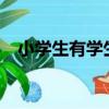 小学生有学生票吗?（小学生有学生证吗）